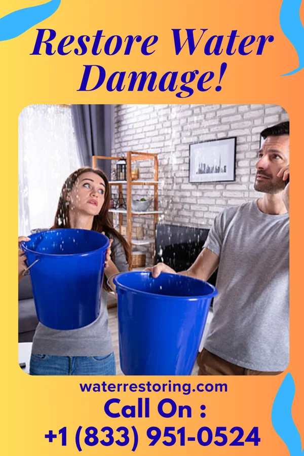 water restoration Pro Disaster Cleanup Services Corfu