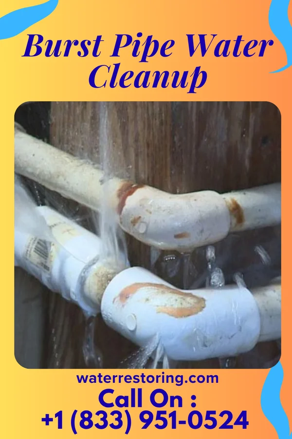 Burst Pipe Water Cleanup in Corfu, NY