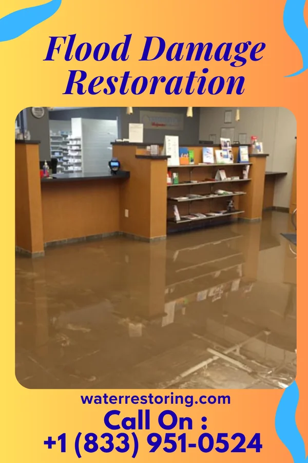 Flood Damage Restoration in Corfu, NY