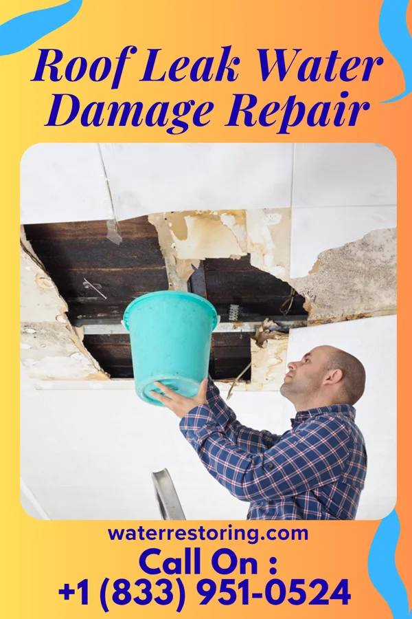 Roof Leak Water Damage Repair in Corfu, NY