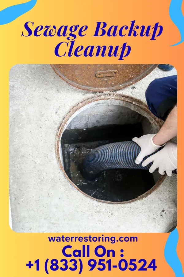 Sewage Backup Cleanup in Corfu, NY