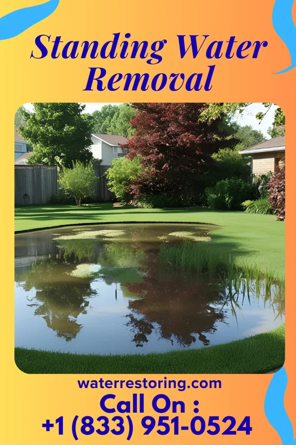 Standing Water Removal in Corfu, NY